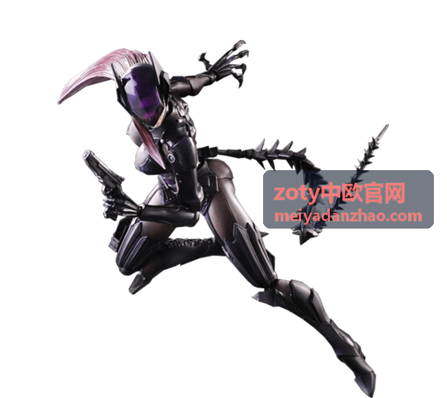 zoty中欧 市场调研与准入评估服务